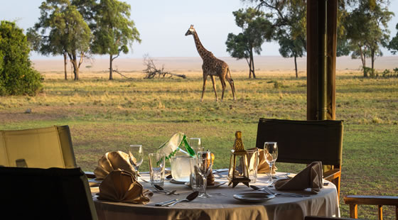 Governors Camp Game Viewing